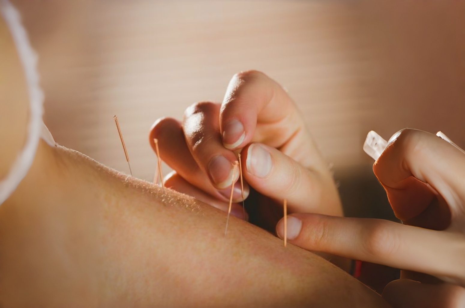 Traditional Chinese Medicine